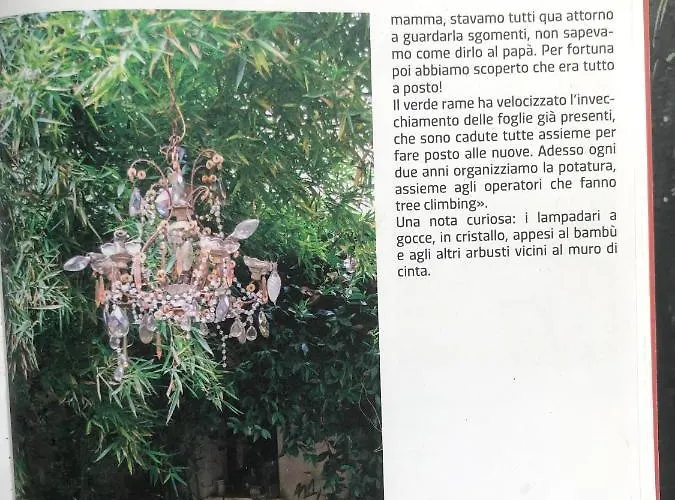 L'ape Regina Appartement Ferrara