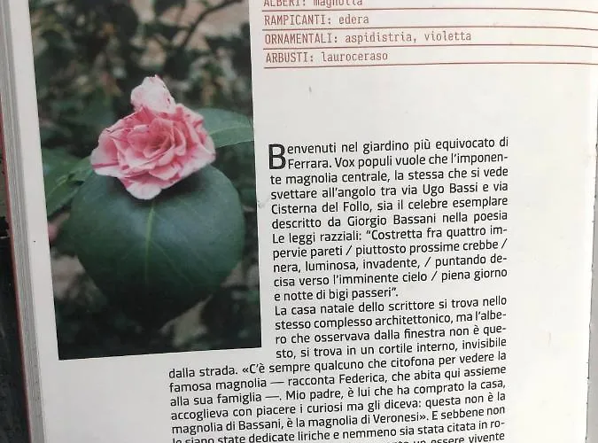 L'ape Regina Appartement Ferrara