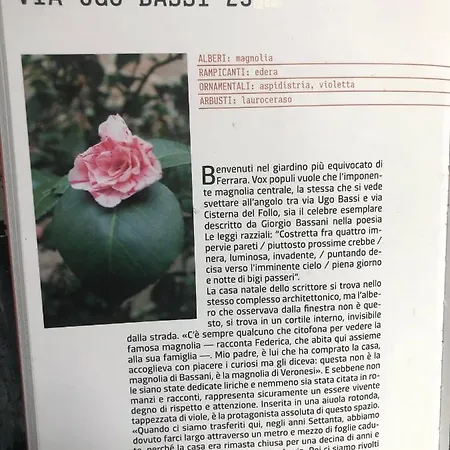 L'ape Regina Lejlighed Ferrara