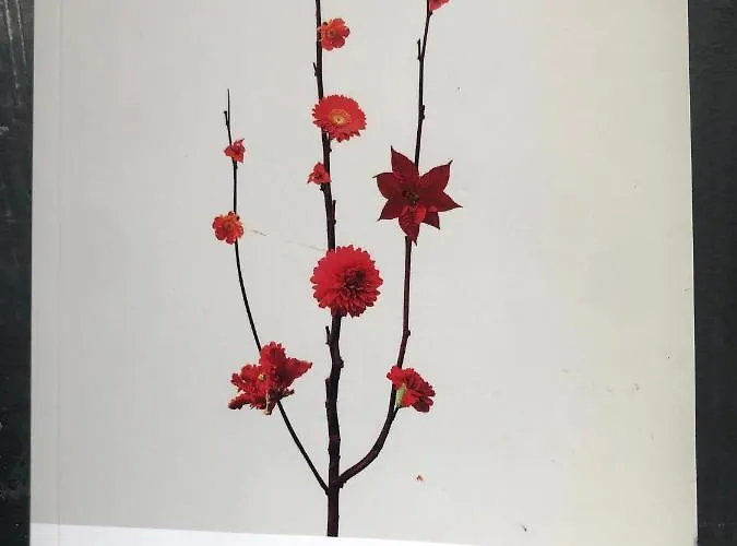 Appartamento L'ape Regina Ferrara